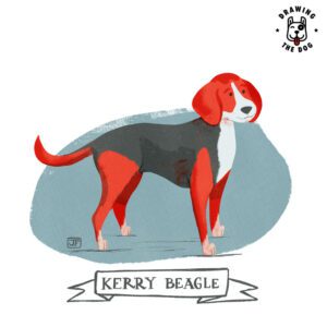 Kerry Beagle illustrated by Jennifer Farley