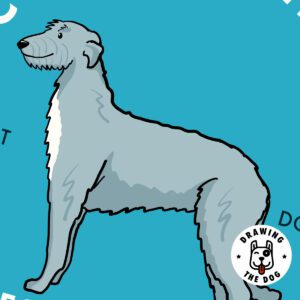 Scottish Deerhound Art Closeup