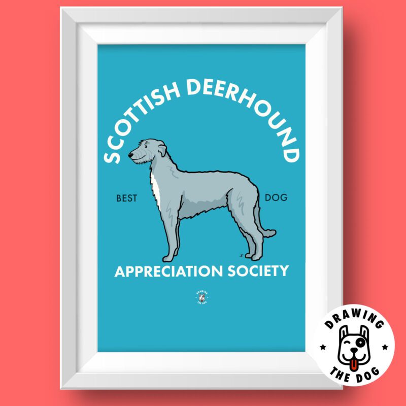 Scottish Deerhound Art Featured
