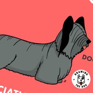 Skye Terrier Art Closeup