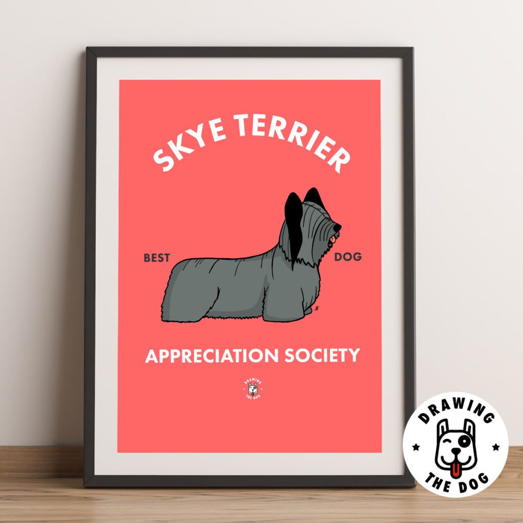 Skye Terrier Art Framed