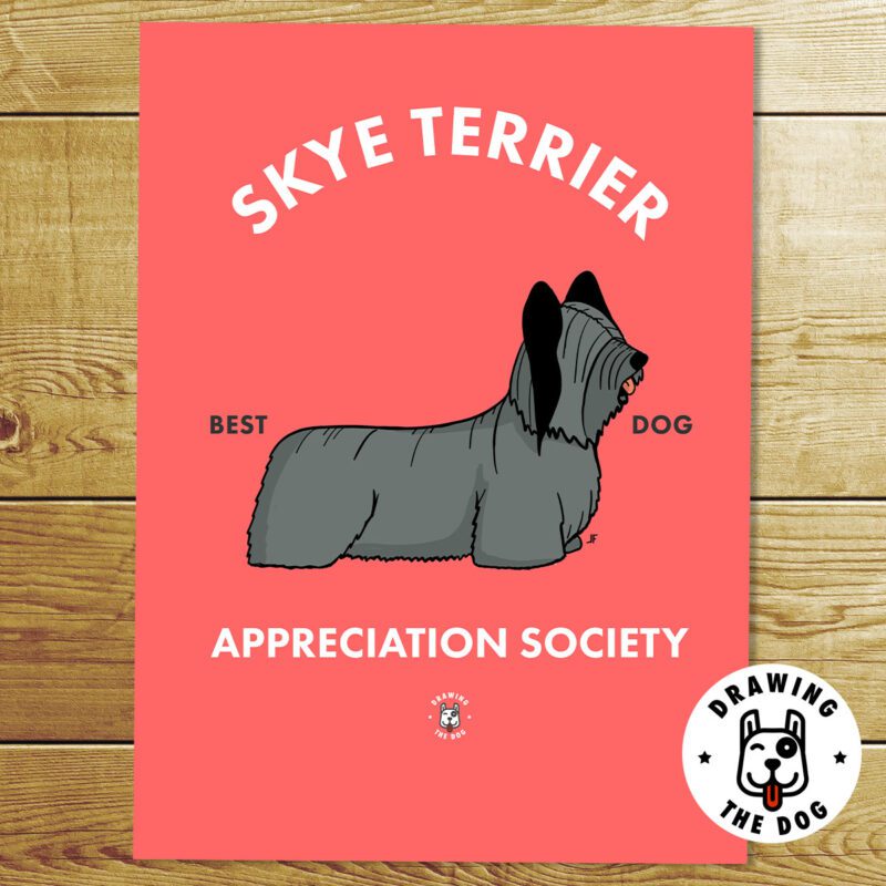 Skye Terrier Art Print