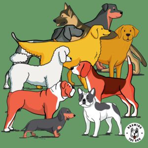 Top 10 Popular Dogs Drawing The Dog