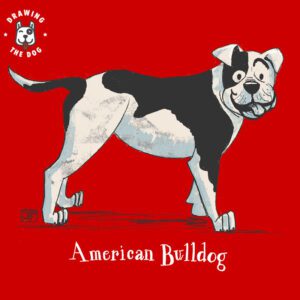 American Bulldog Drawing The Dog