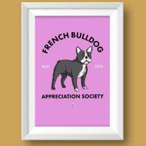 Black and White French Bulldog AS Featured