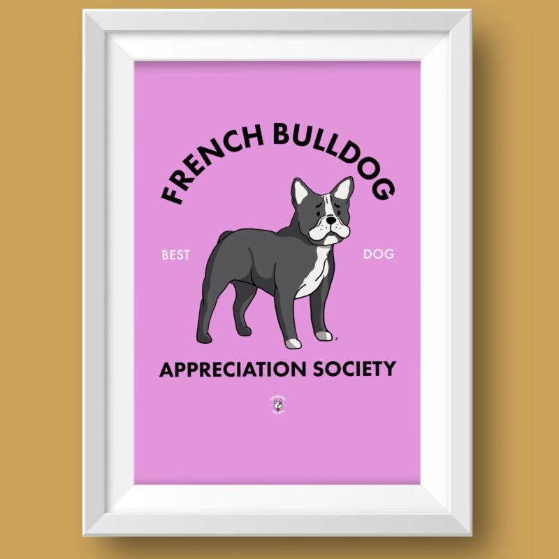 Black and White French Bulldog AS Featured