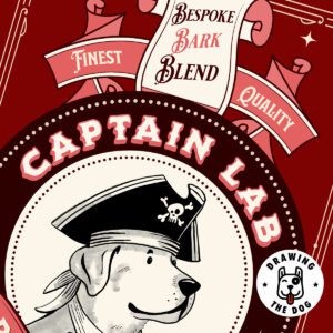 Captain Labrador Closeup