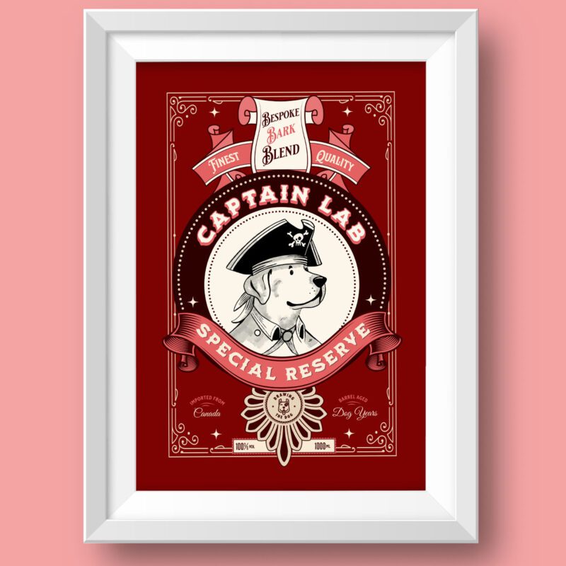 Captain Labrador Featured