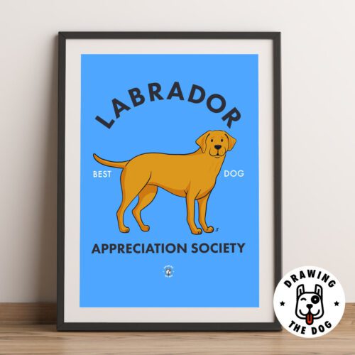 Labrador Art Print Framed