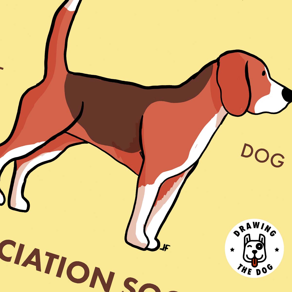 Golden Retriever AS Closeup