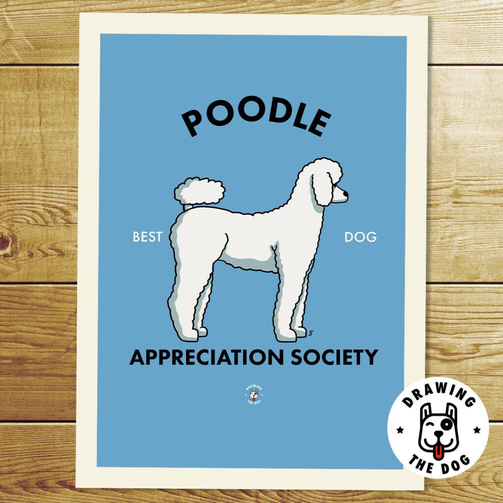 Poodle Art Print