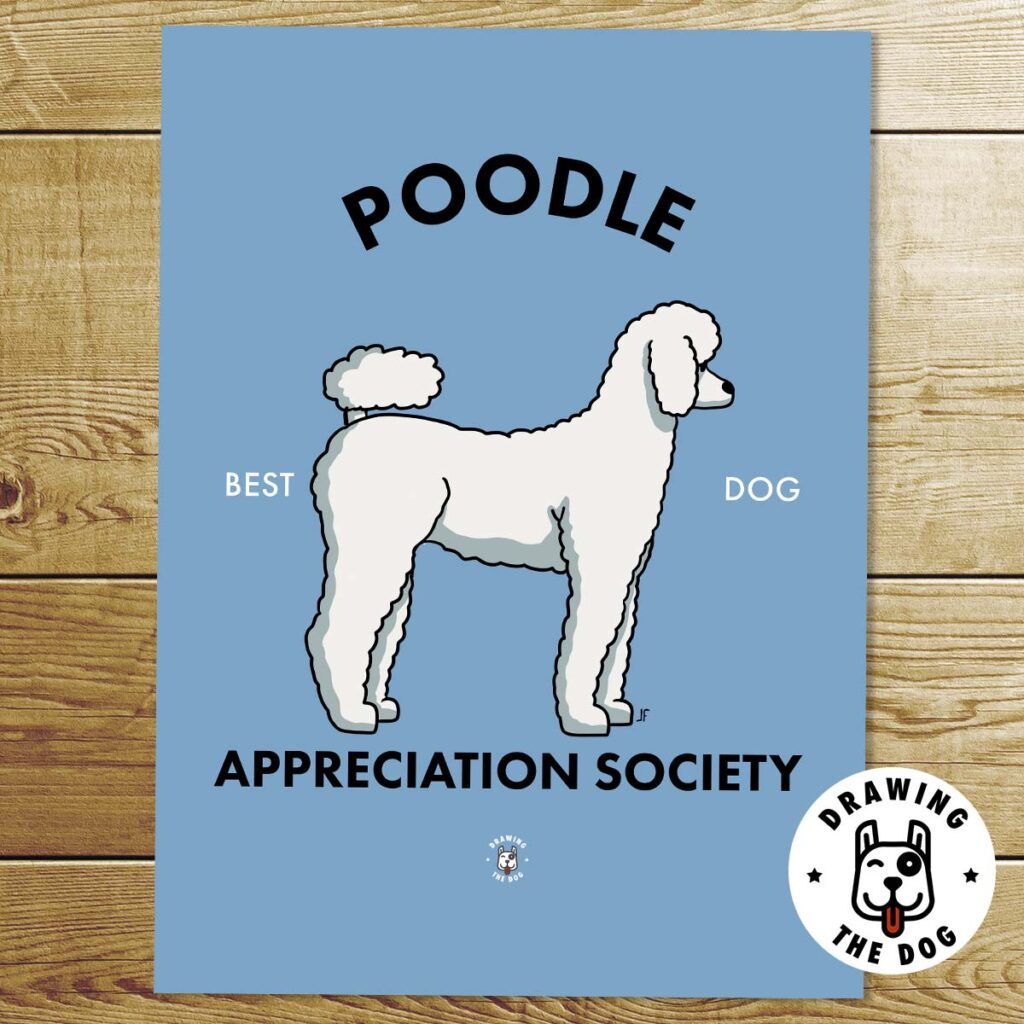 Poodle Appreciationa Society Print - Drawing The Dog Poodle Appreciationa Society Print - Drawing The Dog