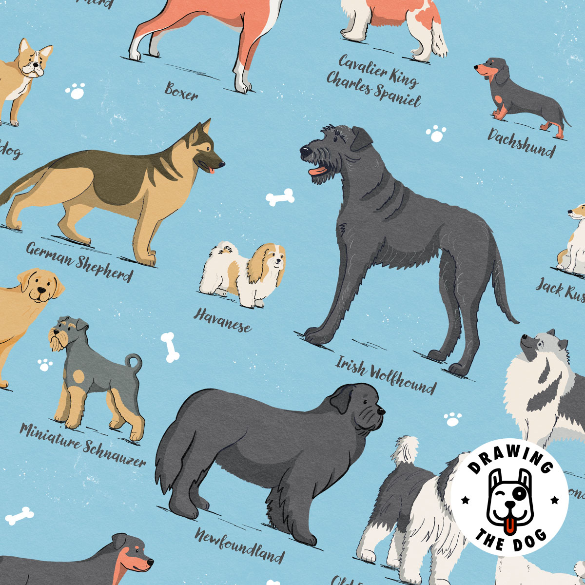 Drawing The Dog - Dog Alphabet Print Closeup