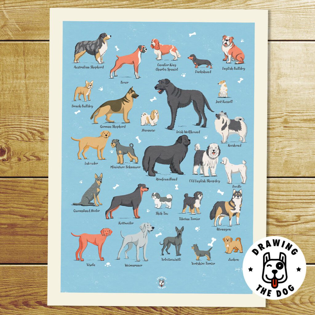 Dog Alphabet Art Print - Gift For Dog Lovers