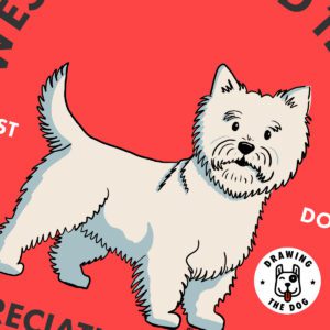 West Highland Terrier AS Closeup