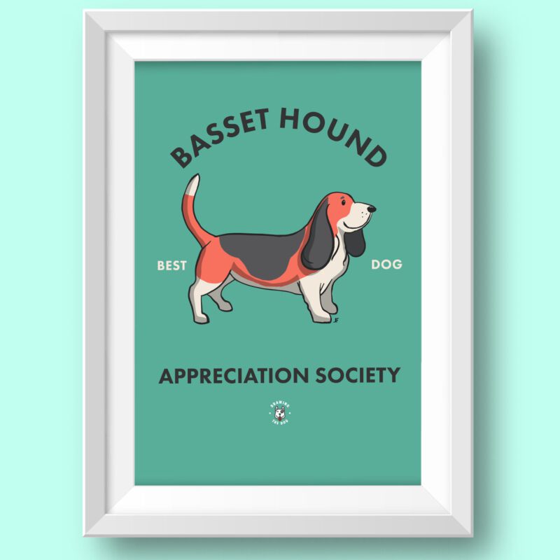 Bassett Hound AS Featured