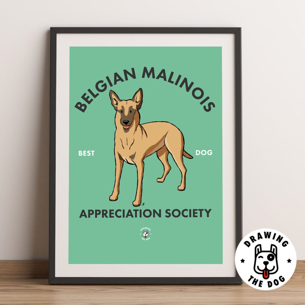 Belgian Malinois wall art Framed