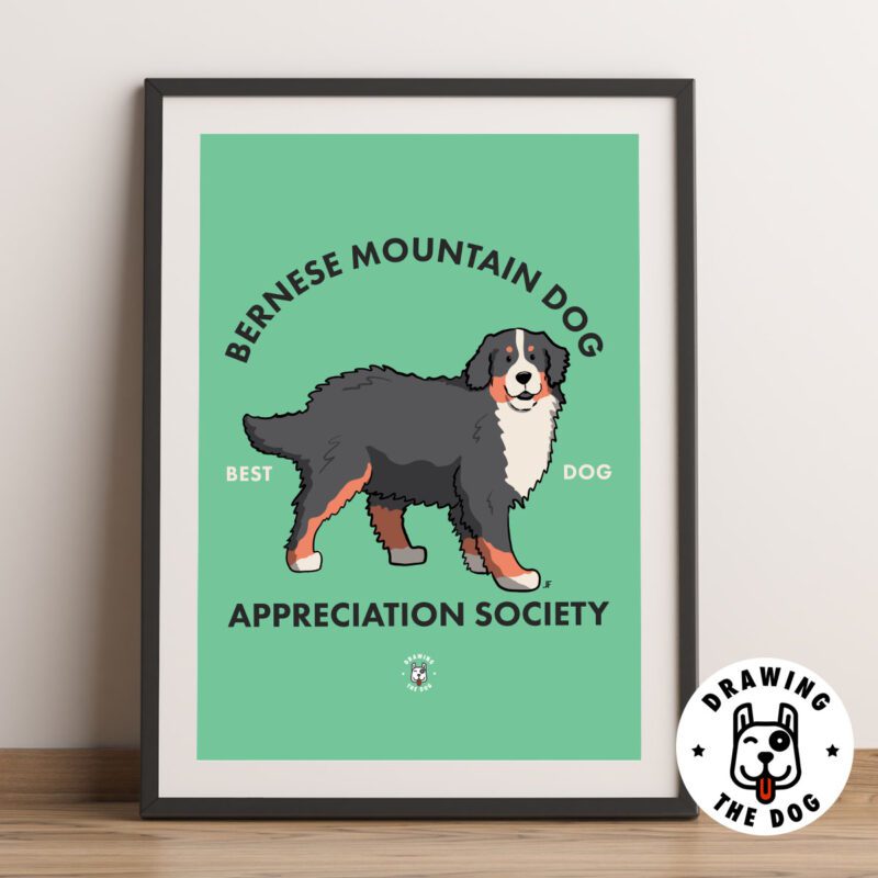 Bernese Mountain Dog Art Framed