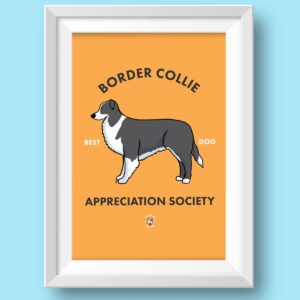 Border Collie Wall Art Featured