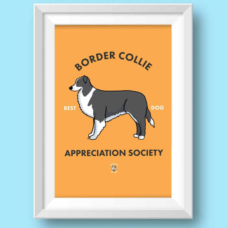 Border Collie Wall Art Featured