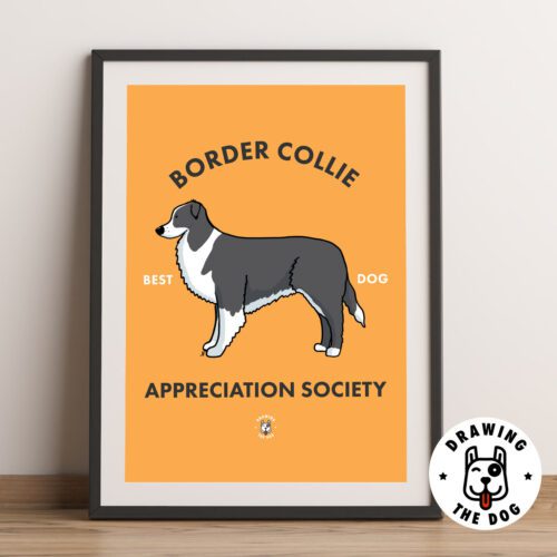 Border Collie Art Framed