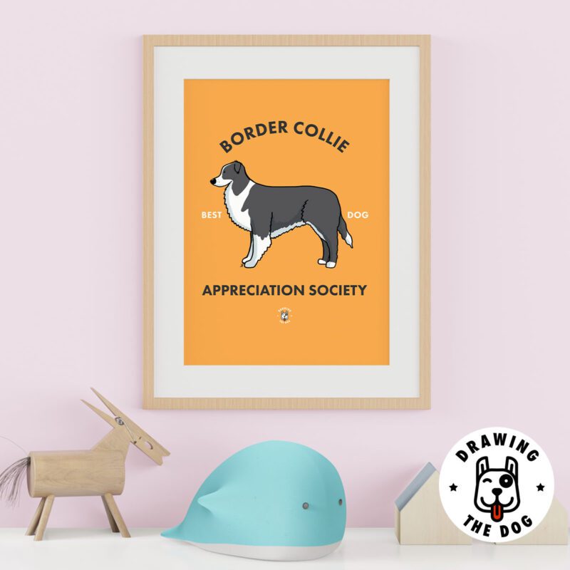 Border Collie Kids Wall Art Decor