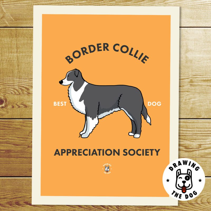 Border Collie Art Print