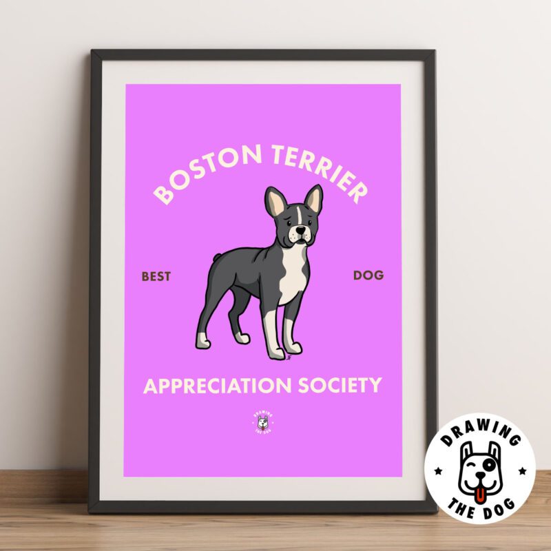 Boston Terrier Framed