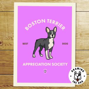 Boston Terrier Print
