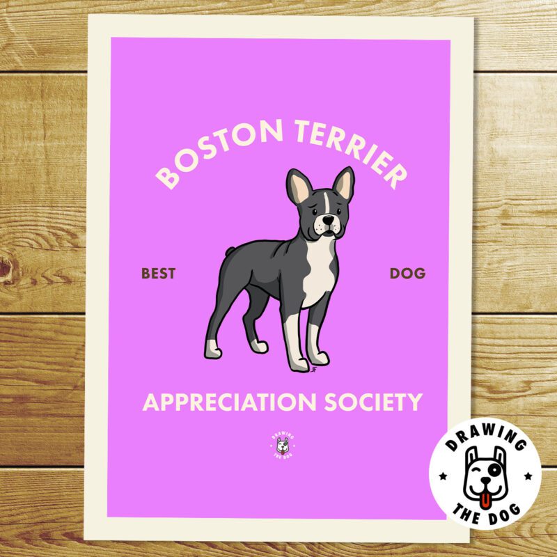Boston Terrier Print