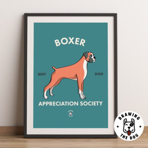 Boxer Art Print Framed