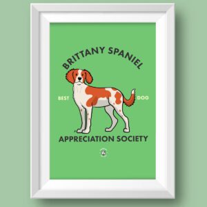 Brittany Spaniel Featured