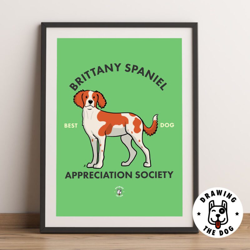 Brittany Spaniel Framed