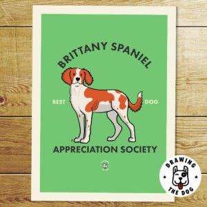 Brittany Spaniel Print