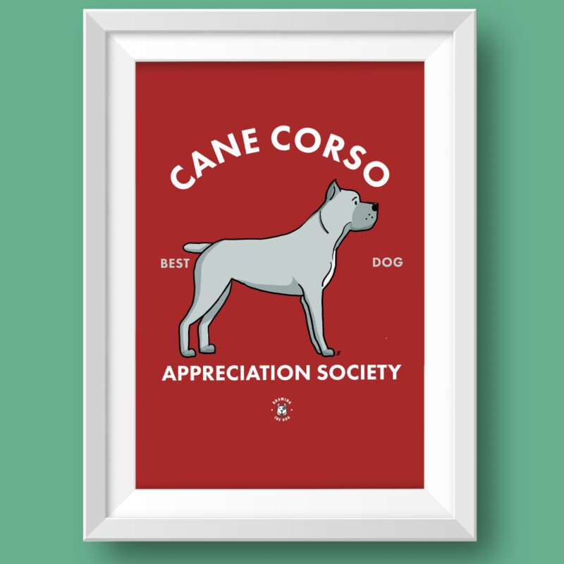 Cane Corso Art Print Featured