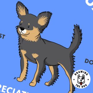 Chihuhua Dark Long AS Closeup