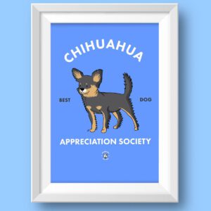 Chihuhua Dark Long AS Featured