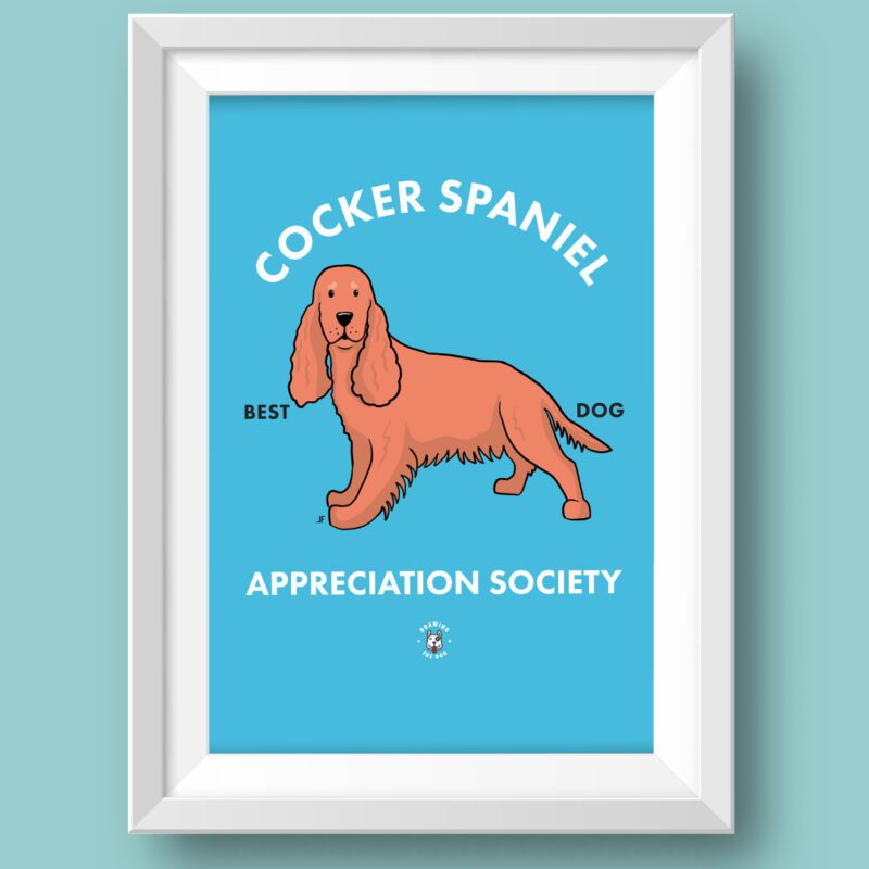 Cocker Spaniel AS Featured