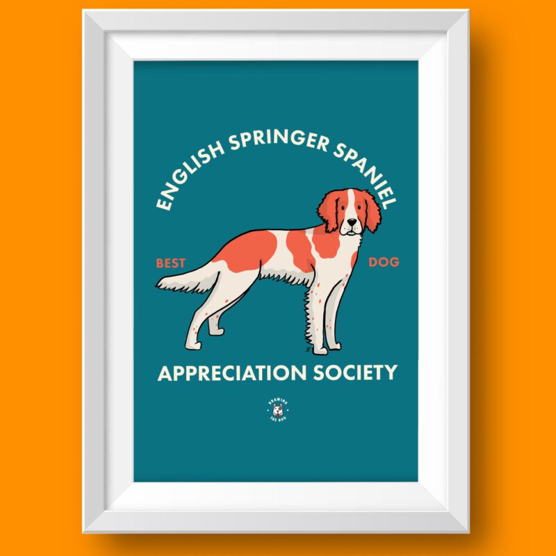 English Springer Spaniel Featured