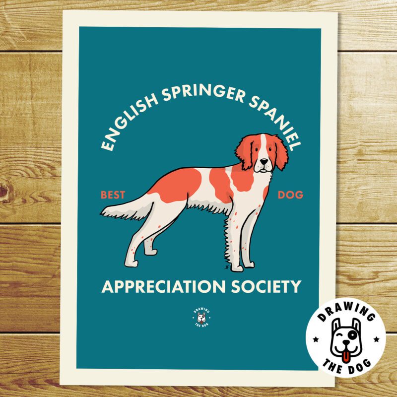 English Springer Spaniel Print