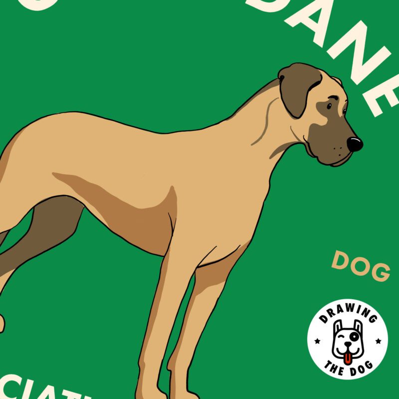 Great Dane Art Print Closeup