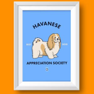 Havanese Art Print Featured