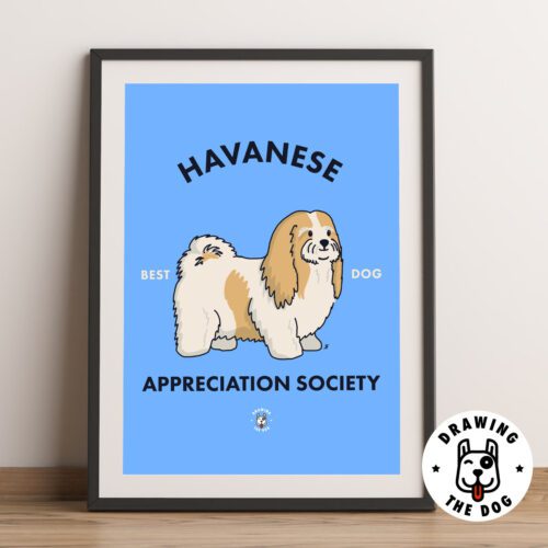 Havanese Wall Art Framed