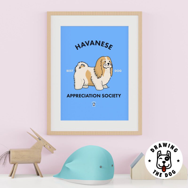 Havanese Kids Wall Decor