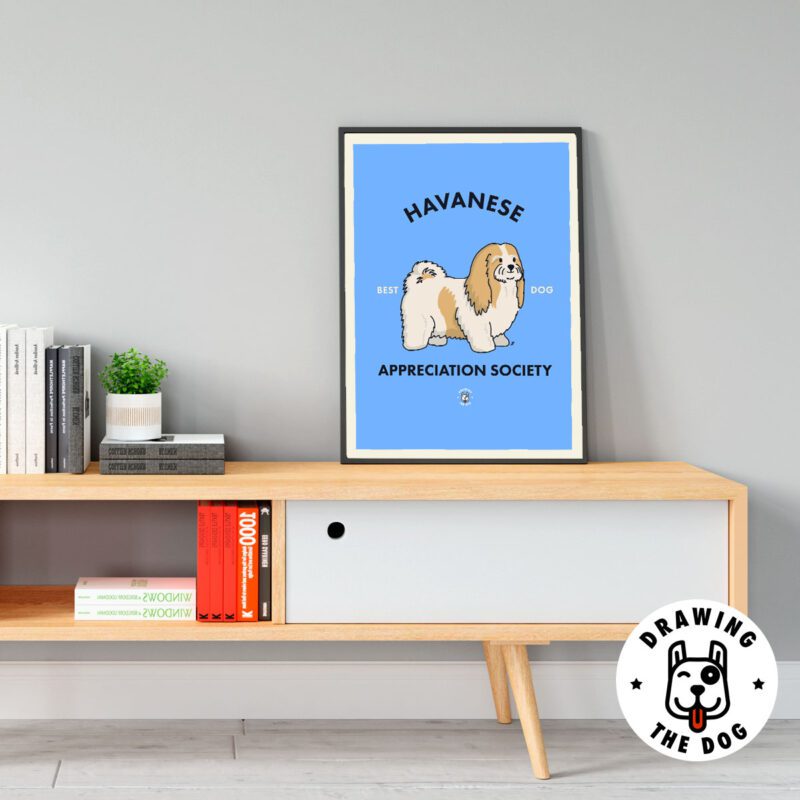 Havanese Wall Art Living Room Decor