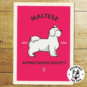 Maltese AS Print