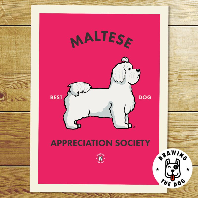 Maltese AS Print