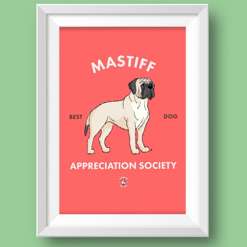 Mastiff AS Featured