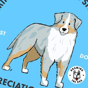 Mini American Shepherd Closeup