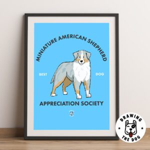 Mini American Shepherd Framed